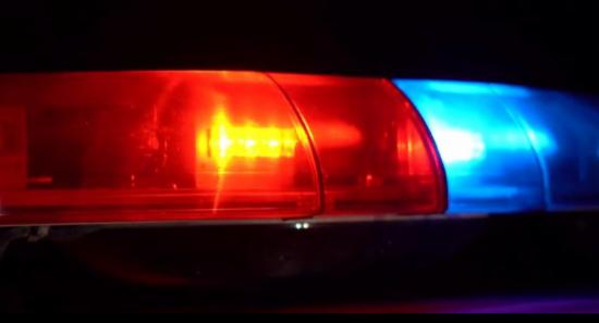 Police Open Fire on Lorry Transporting Cattle